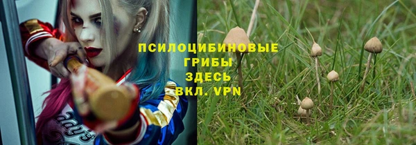 ALPHA PVP Алзамай